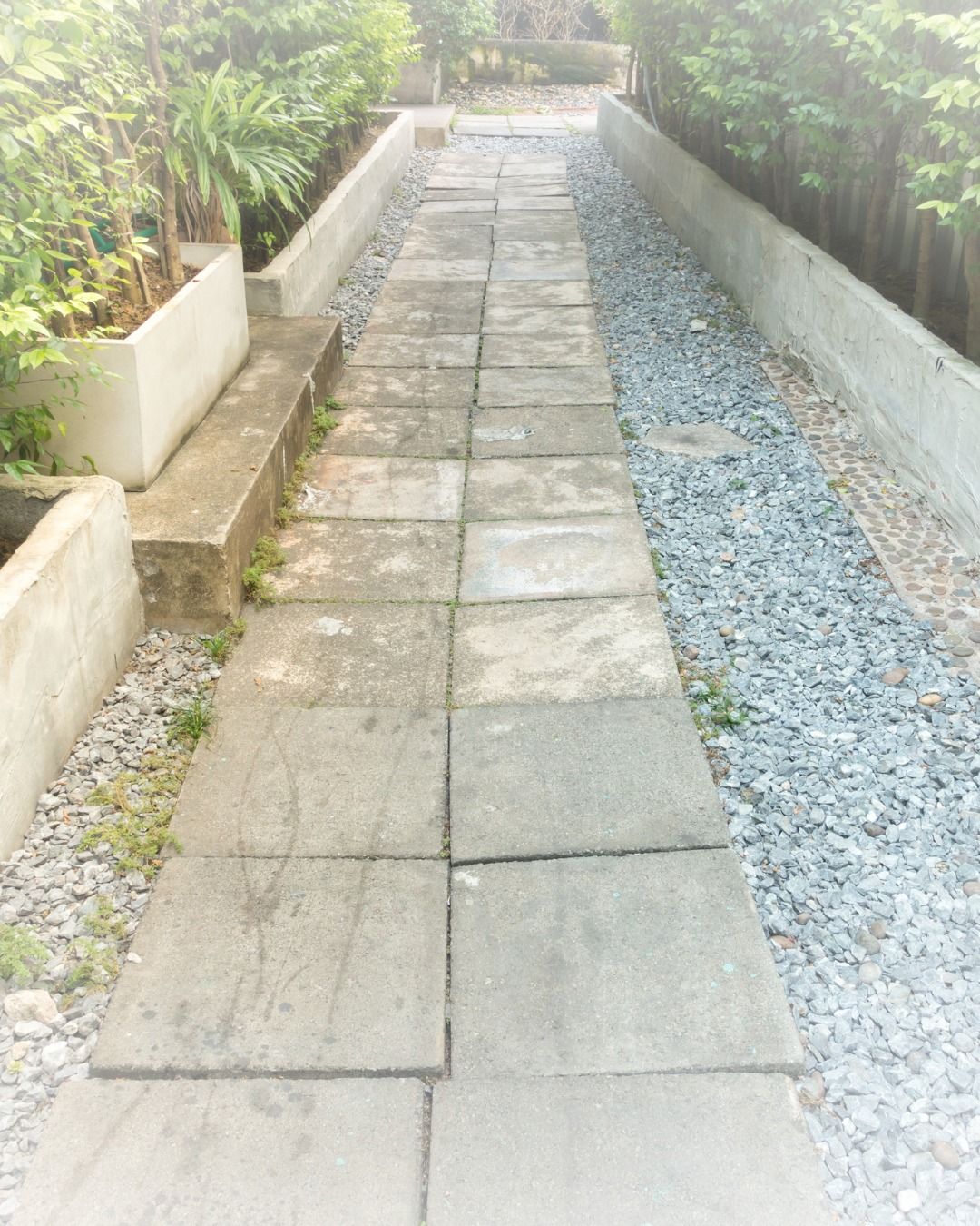 A stone walkway bordered by gravel and concrete planters with lush greenery.