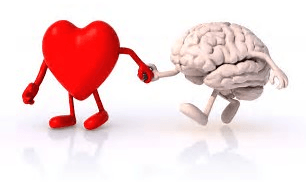 cuore e cervello
