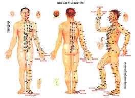 Schema dei punti del corpo sensibili all'agopuntura