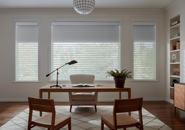 Aesthetic Degradation and Home Value Impact
