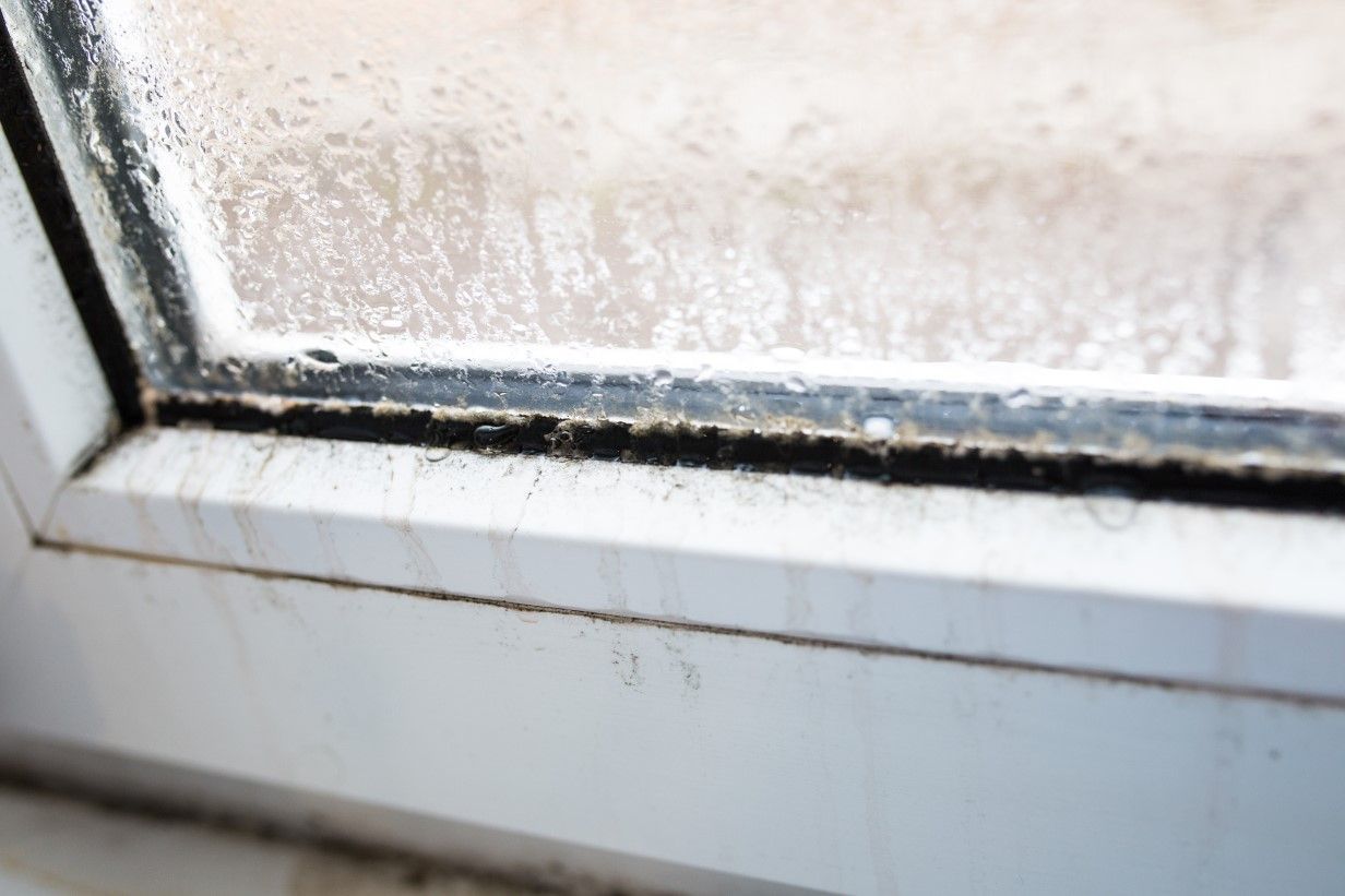 Health Hazards from Poor Materials and Moisture Problems