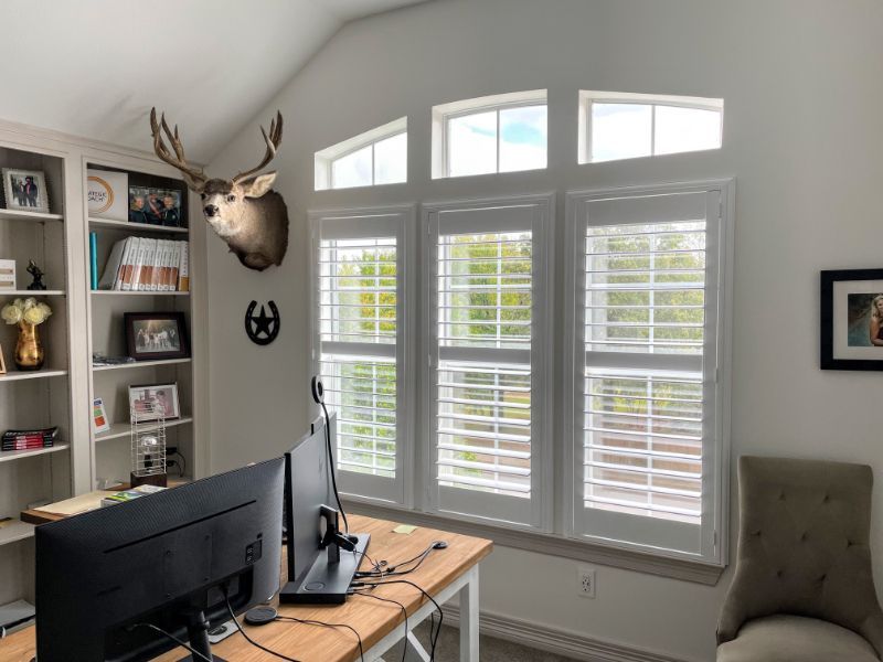 A deer head hangs above a desk in a home office