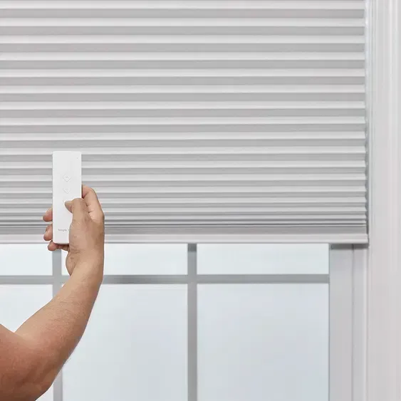 Motorized and Smart Shades
