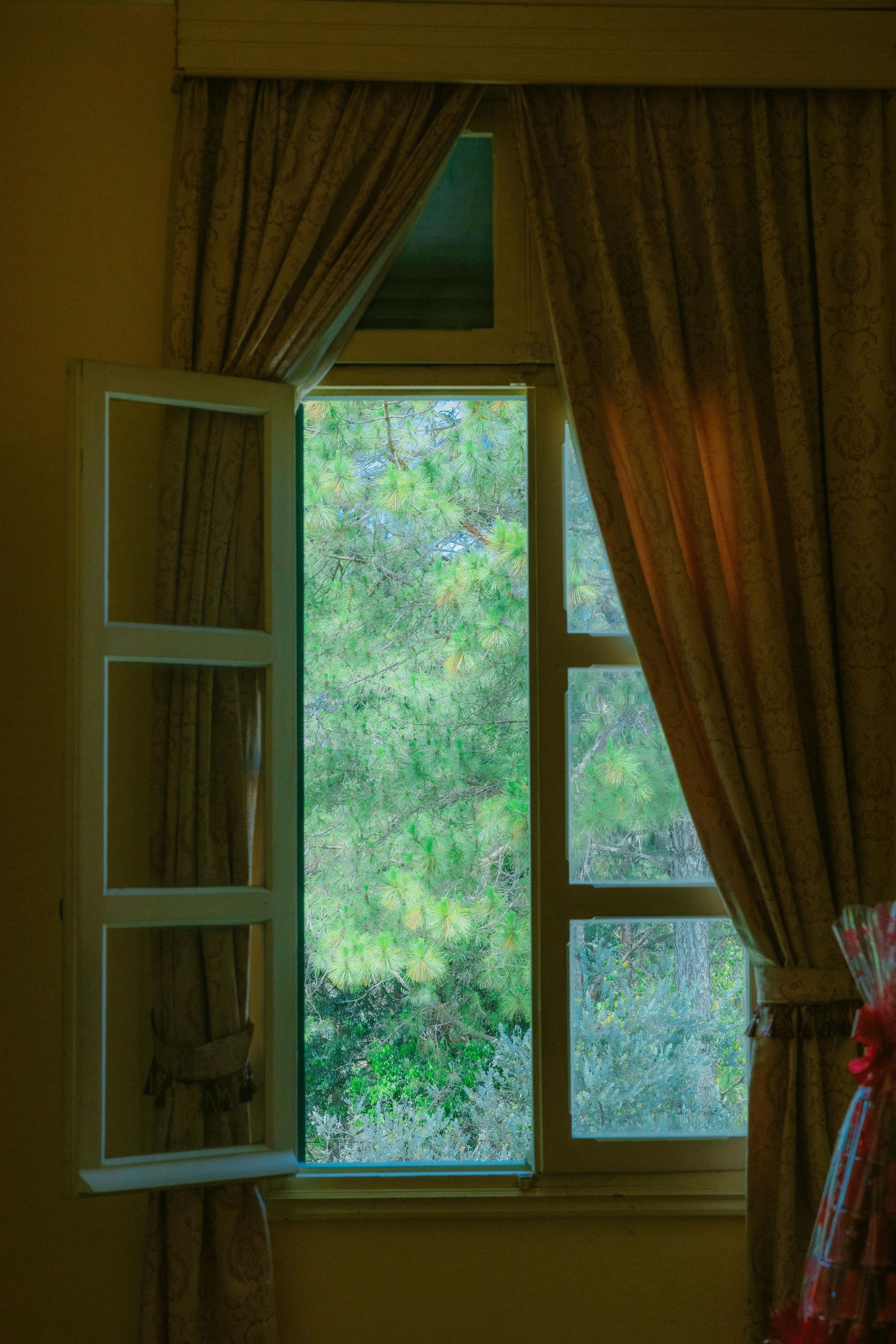Open white window with view of green trees and brown curtains.