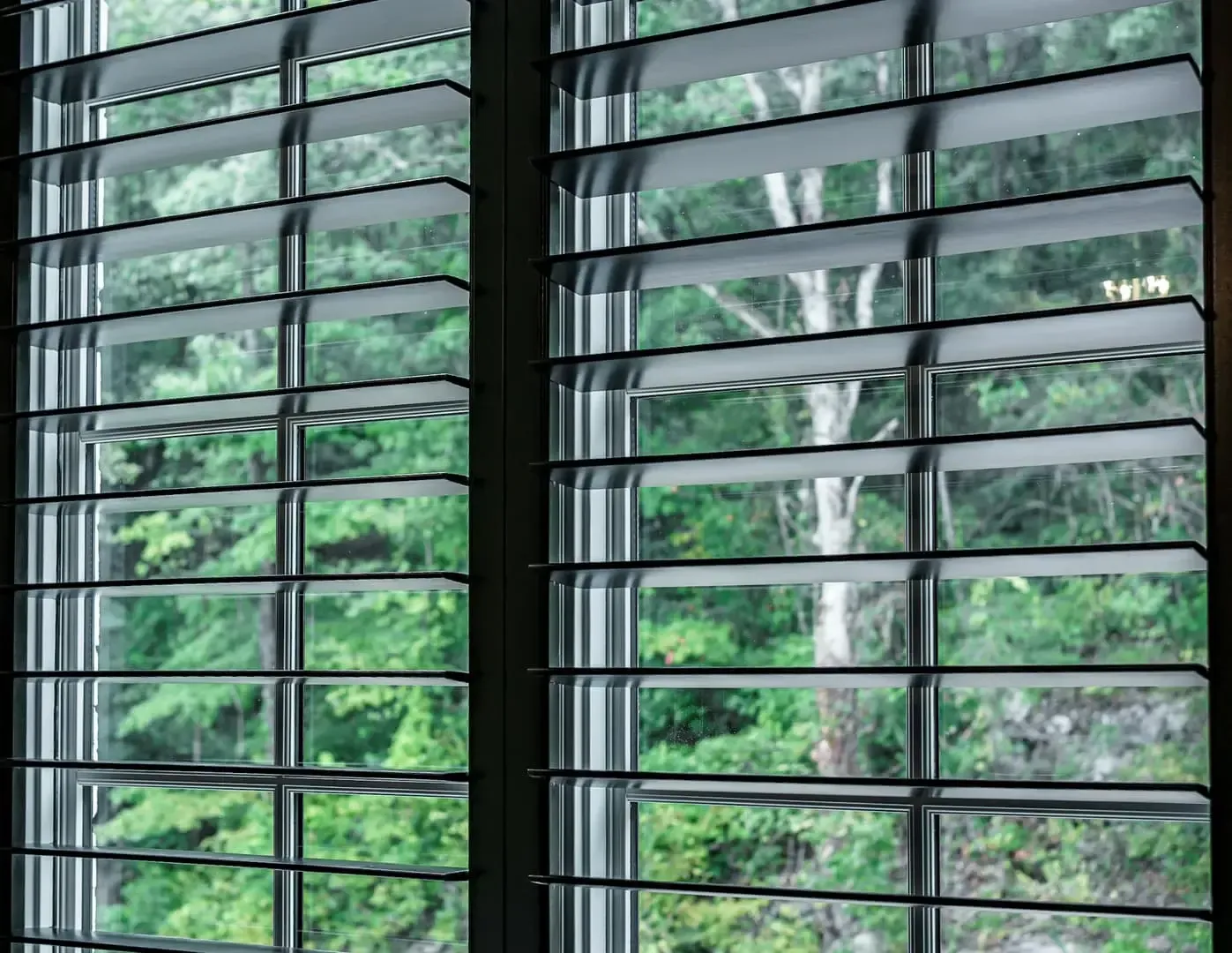 Treatment #2: Custom-Fitted Plantation Shutters
