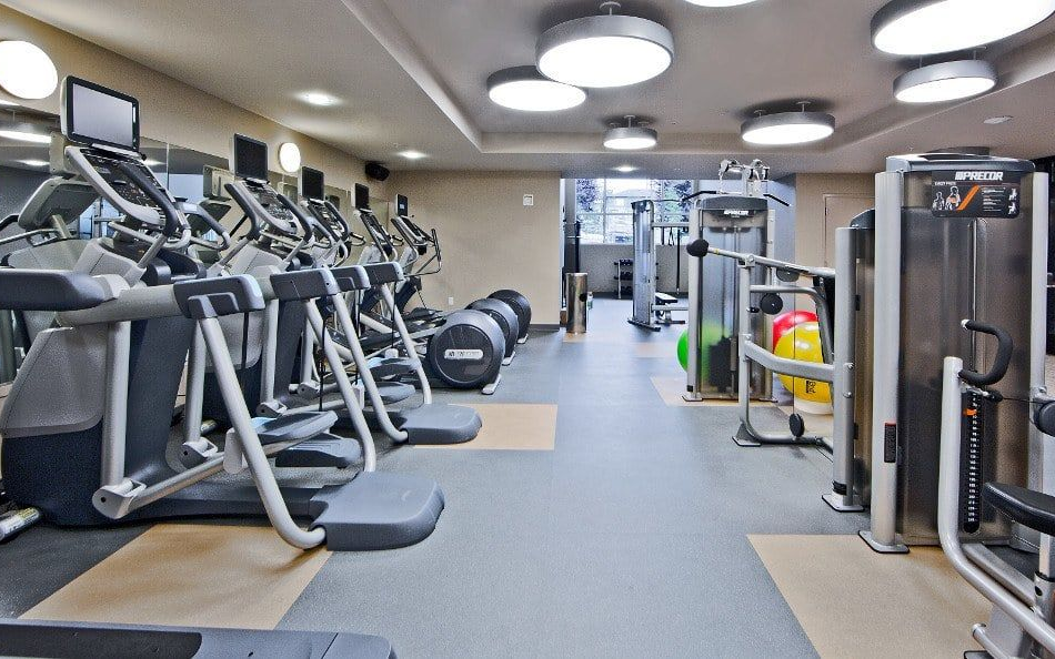 Gym interior with elliptical machines, weights, and weight machines.