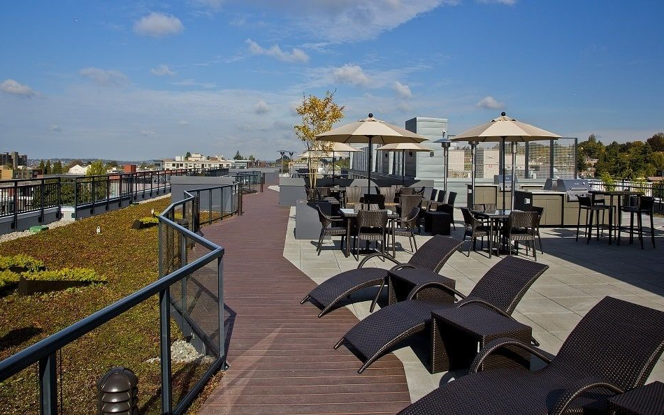 Rooftop patio with lounge chairs, tables, and umbrellas. Green roof and city view under a blue sky.
