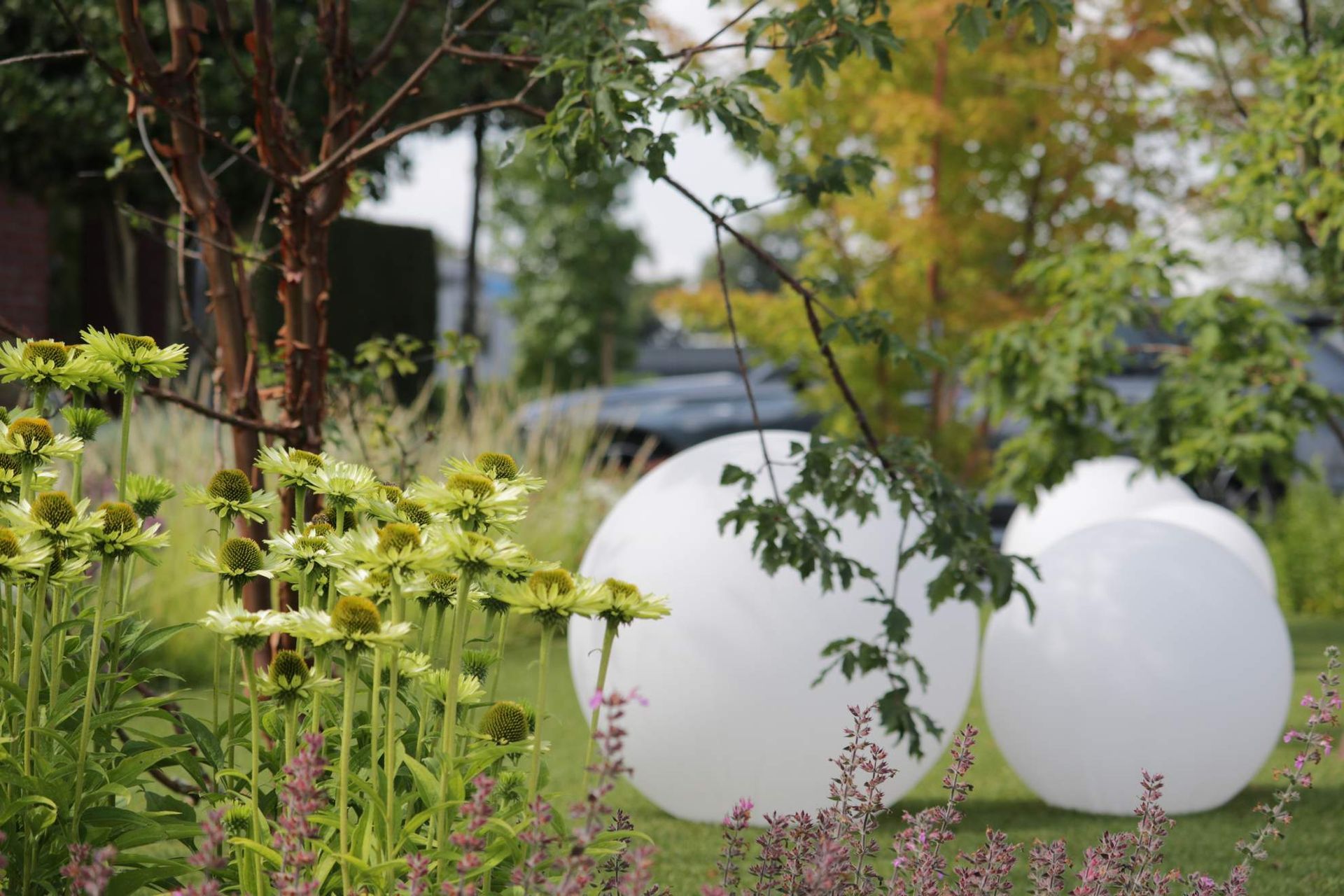 Weelderige tuin met witte bolvormige lichtjes op het gras. Groene en paarse bloemen, bomen op de achtergrond.