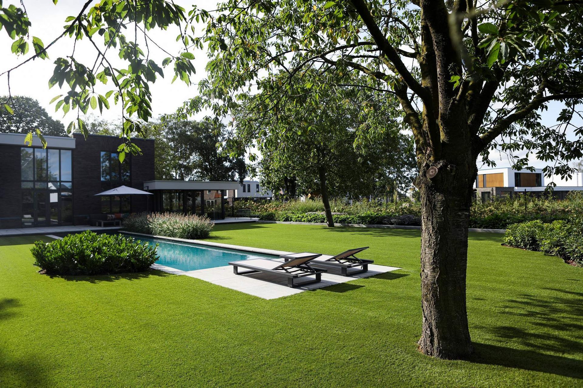 Weelderige achtertuin met een zwembad, ligstoelen en een grote boom voor een modern huis.
