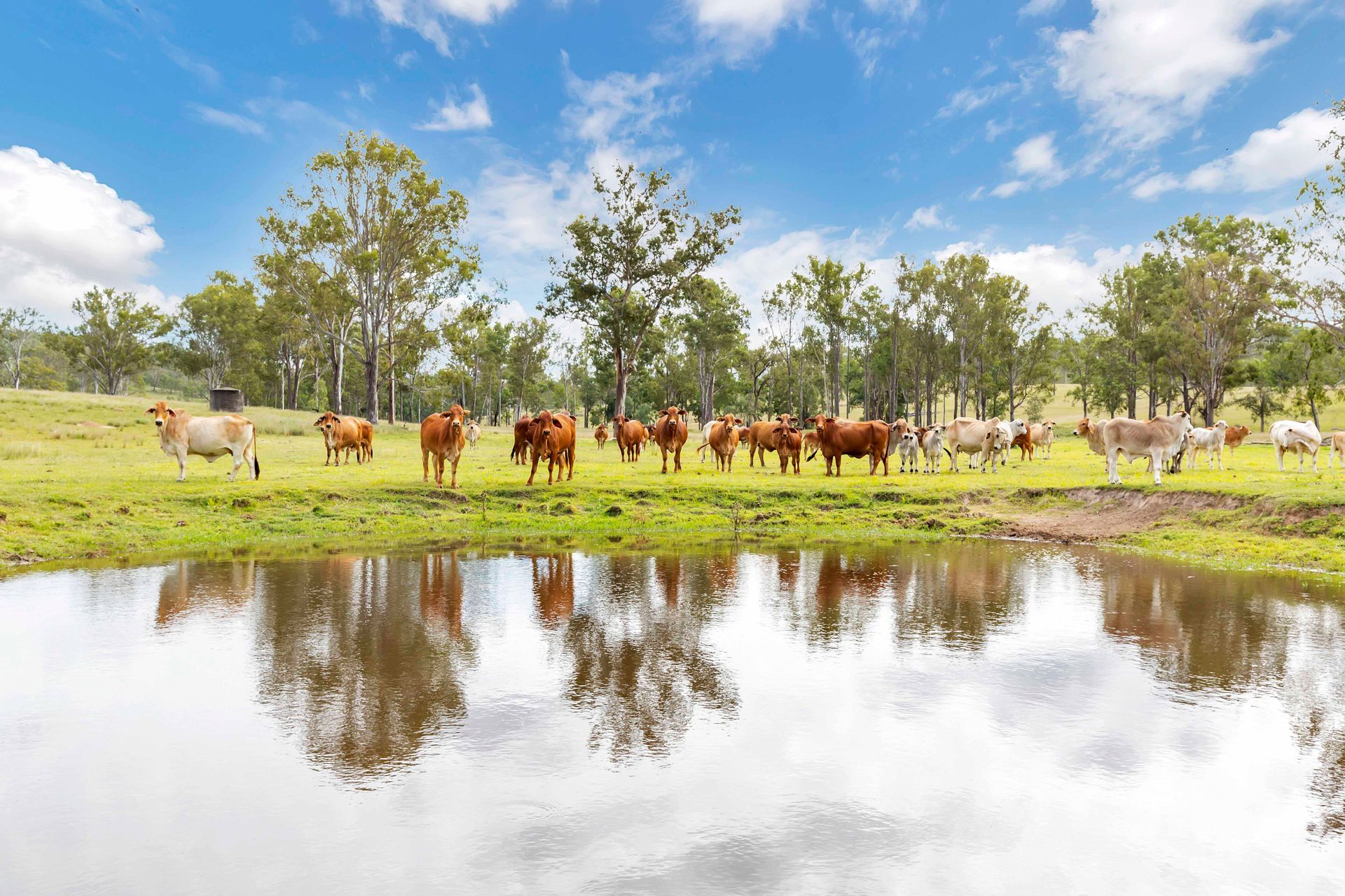 Sullivan Livestock and Rural Services