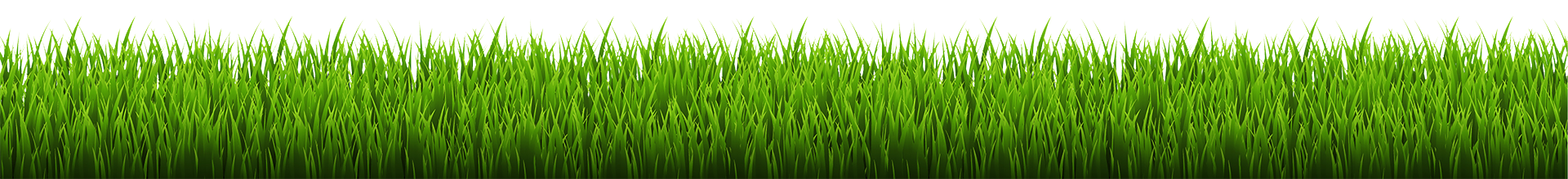 grass