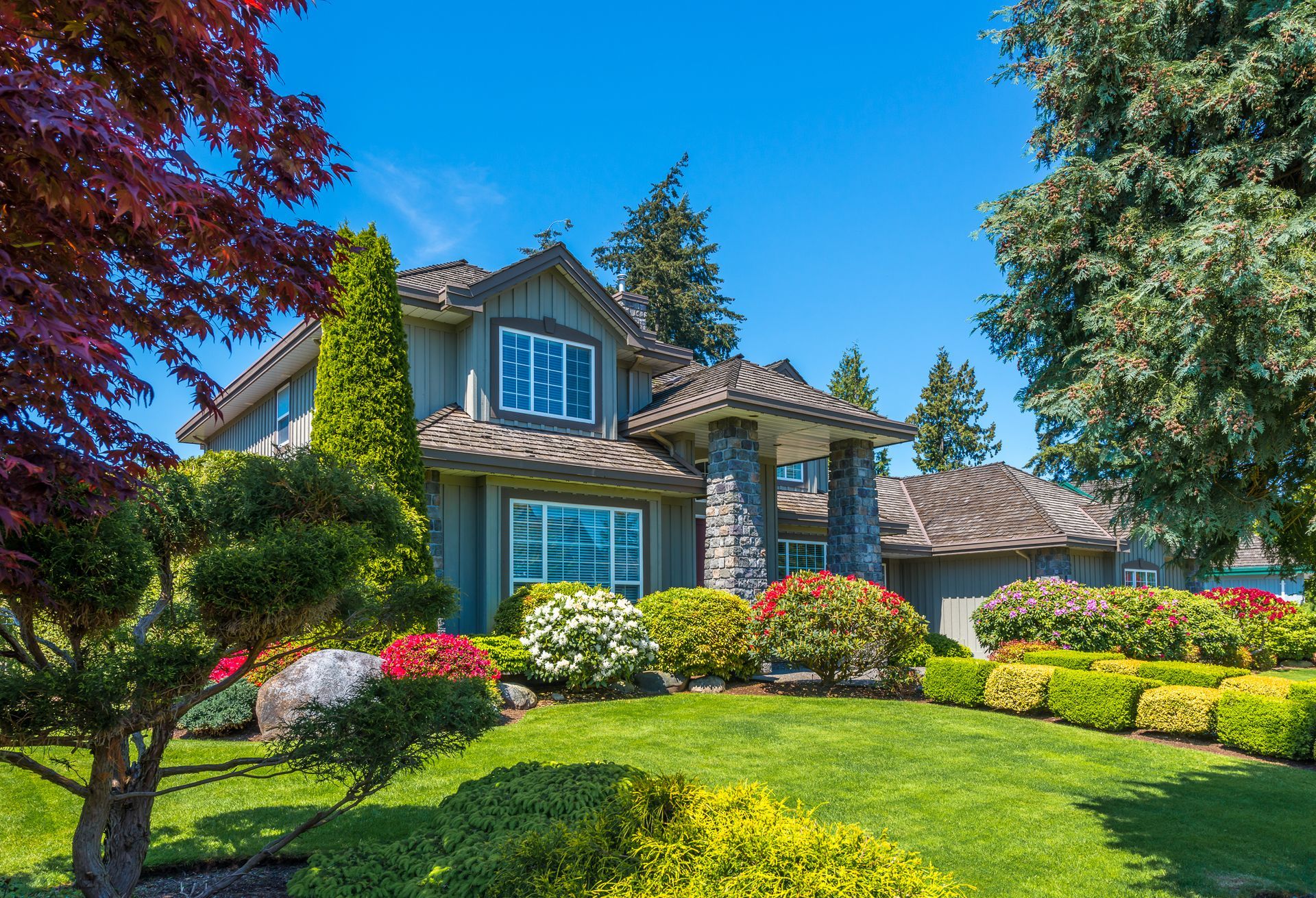 beautiful front yard