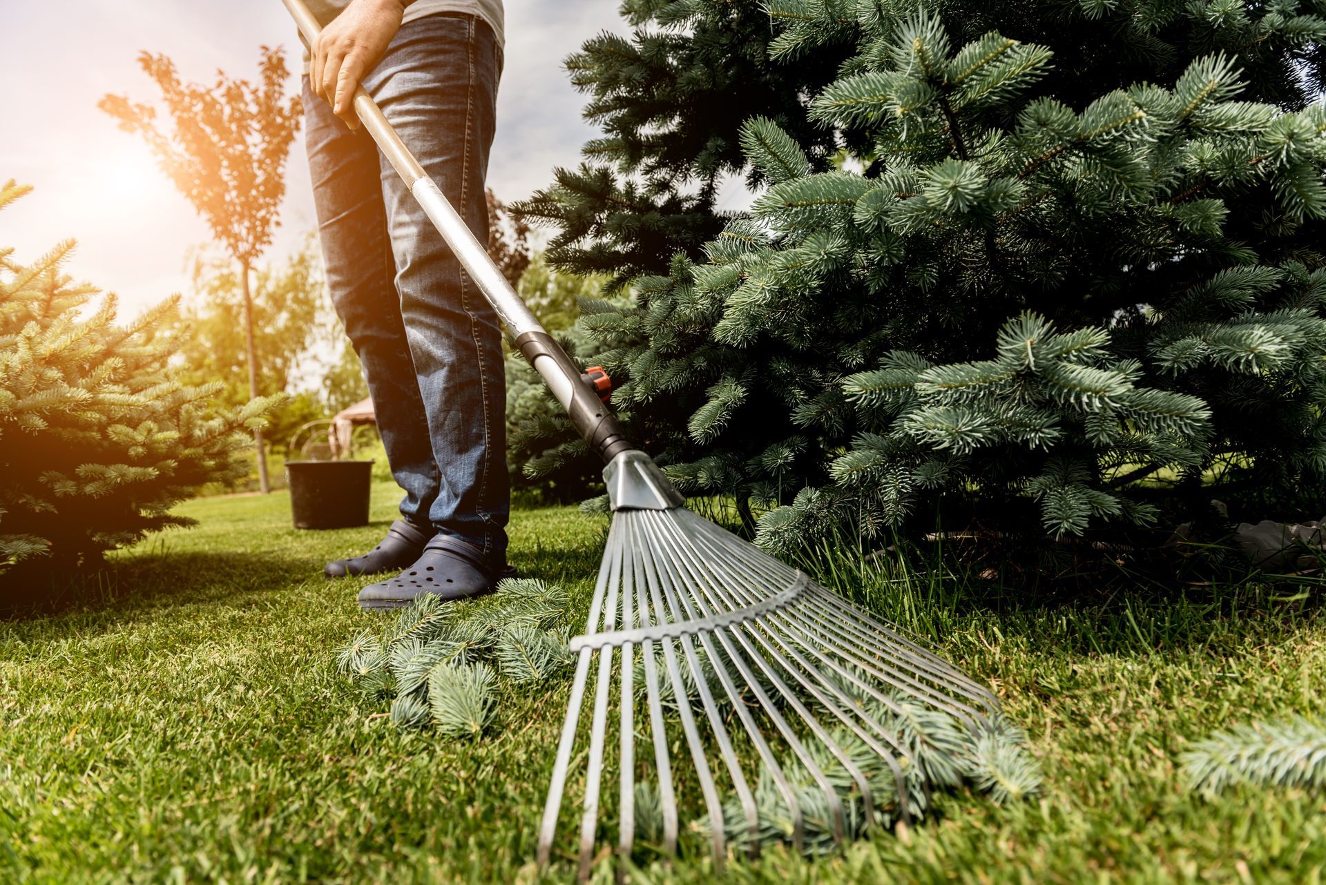 man raking the fallen leaves on lawn