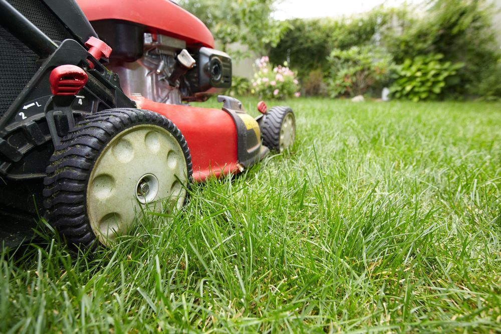 mowing a backyard lawn
