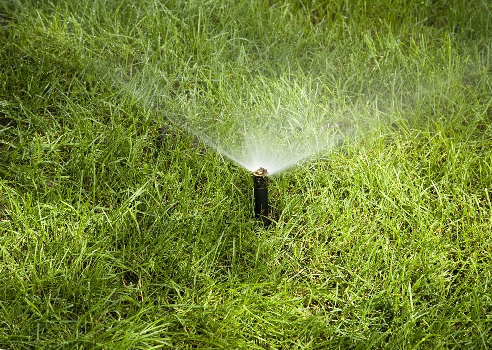 water sprinkler on the ground