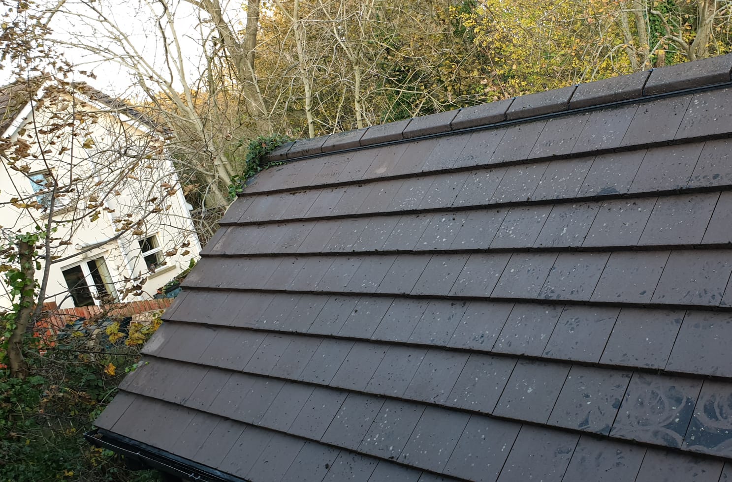 low pressure roof cleaning after