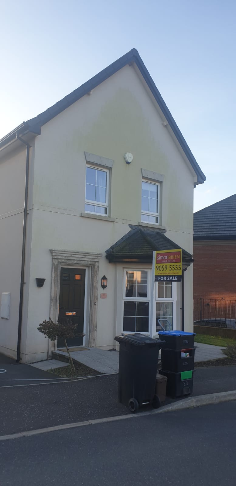 green algae cleaned from rendered wall