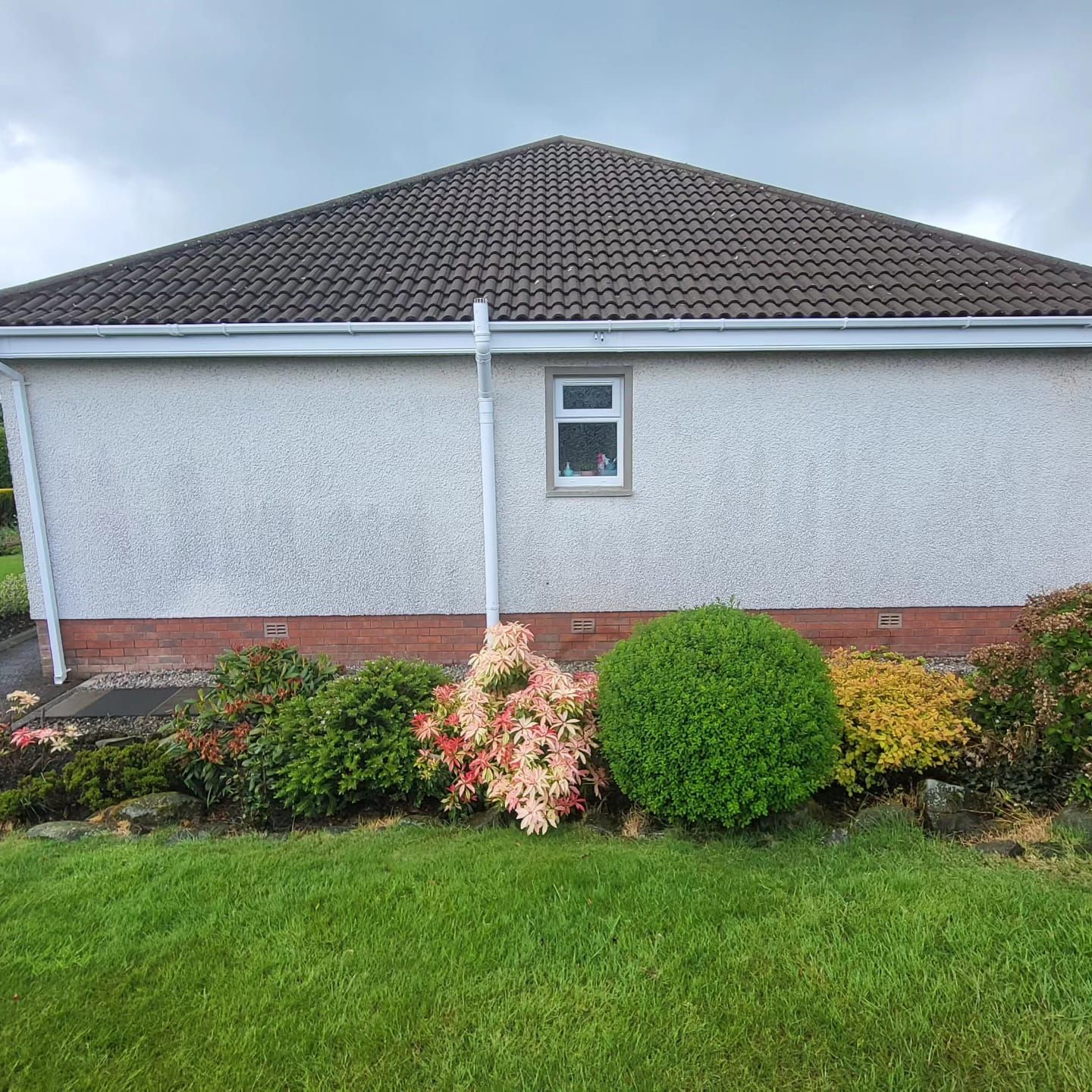 A house with a roof and a window is surrounded by bushes and flowers.