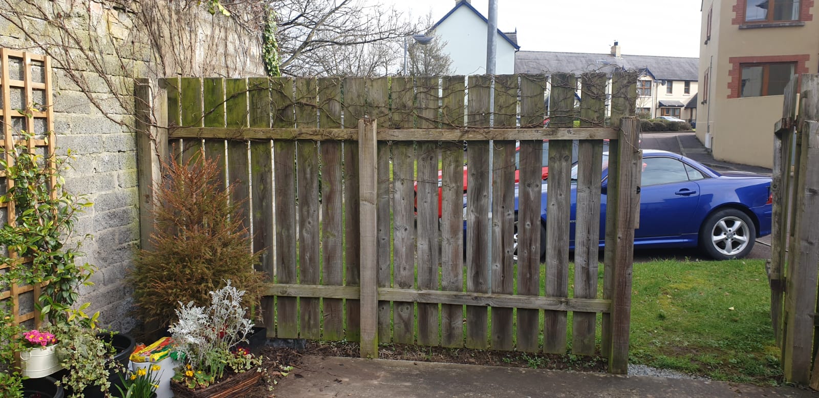 A blue car is parked behind a wooden fence.