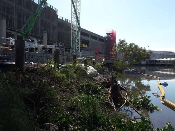 Removing Plants on River Side — Southeast QLD — East Coast Group of Companies