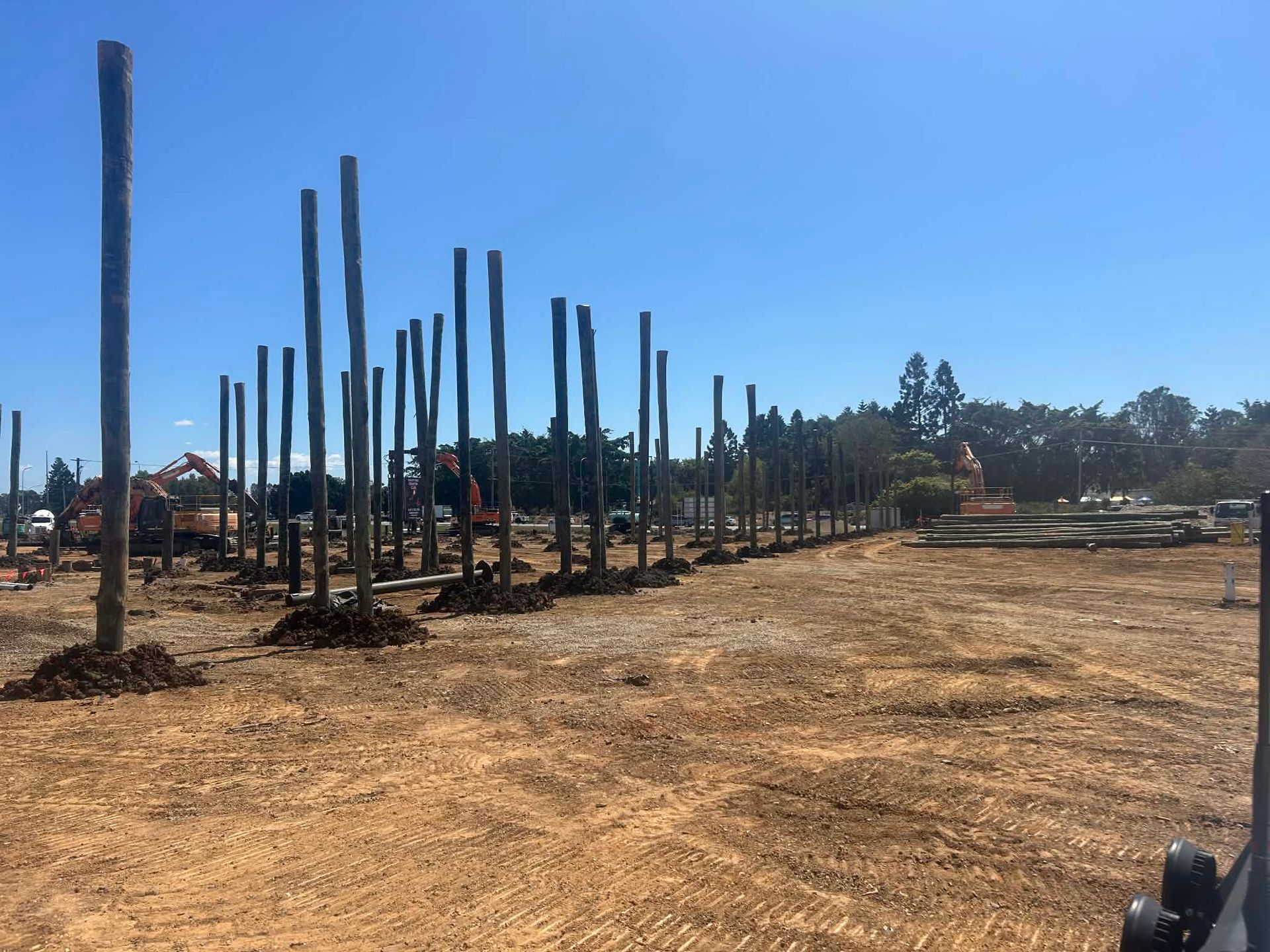 Ground-level view of vertical timber piling installed on a construction site by a professional piling contractor.