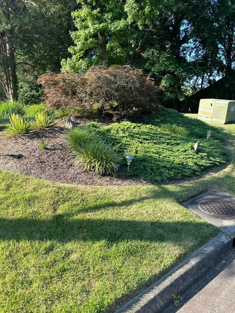 A lush green lawn with trees in the background and a manhole cover in the foreground.