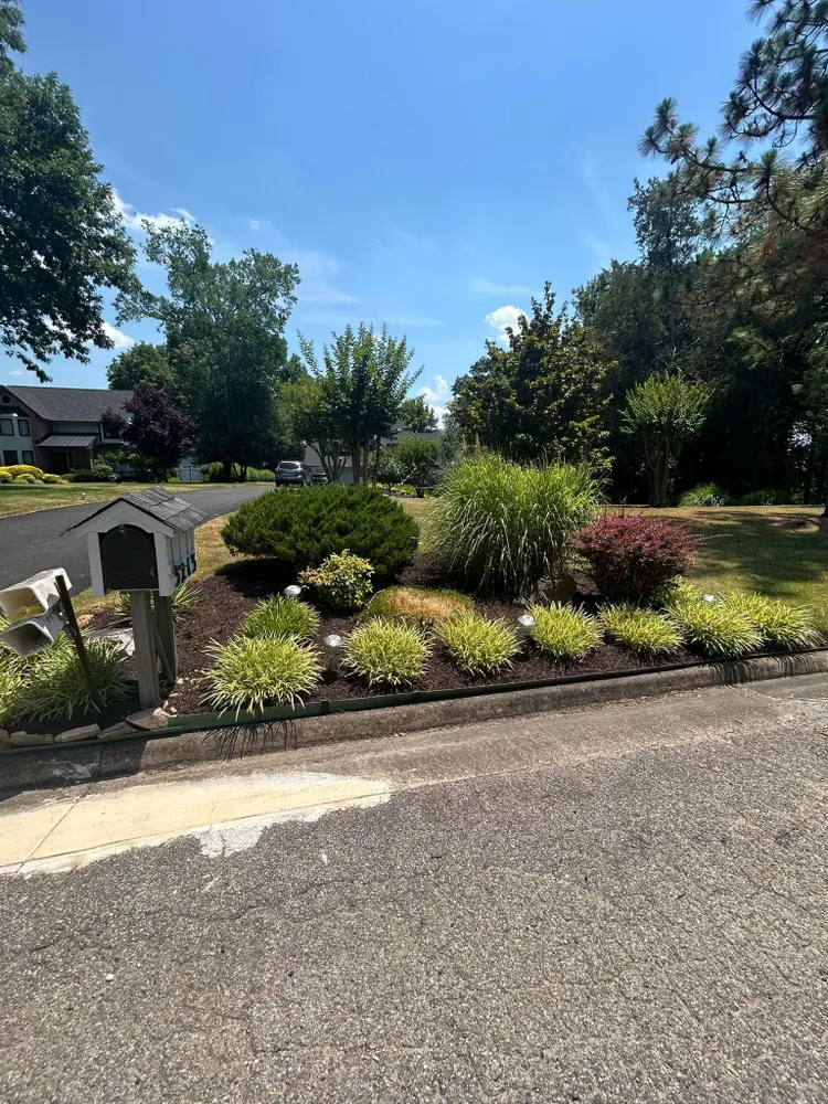 A mailbox is sitting on the side of the road next to a lush green garden.