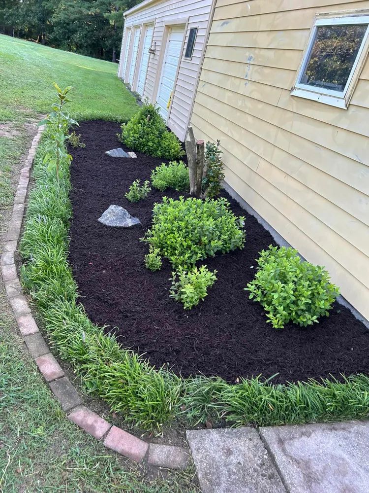 A lawn with a lot of plants and rocks in front of a house.