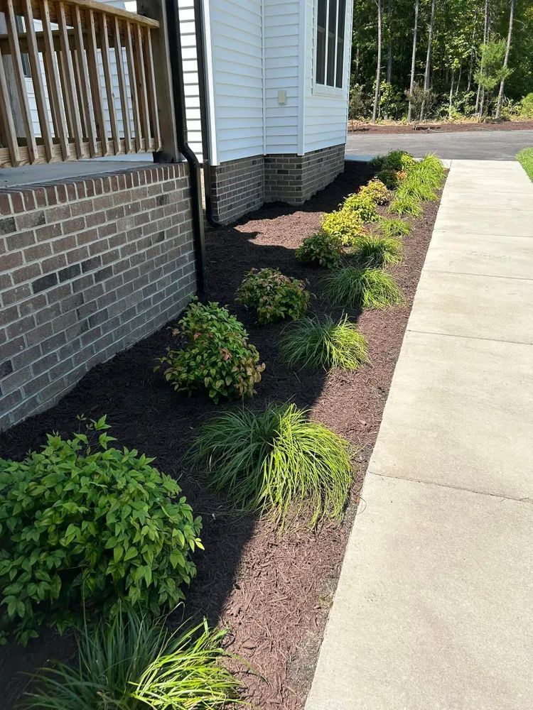 A sidewalk leading to a house with a lot of plants on it.