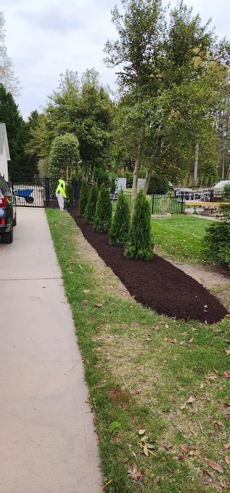 A person is walking down a sidewalk next to a row of trees.
