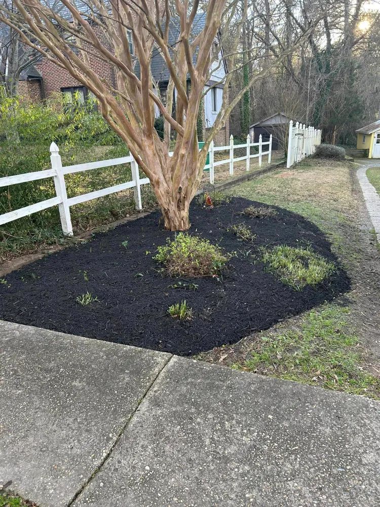 A tree is sitting in a pile of mulch next to a white fence.