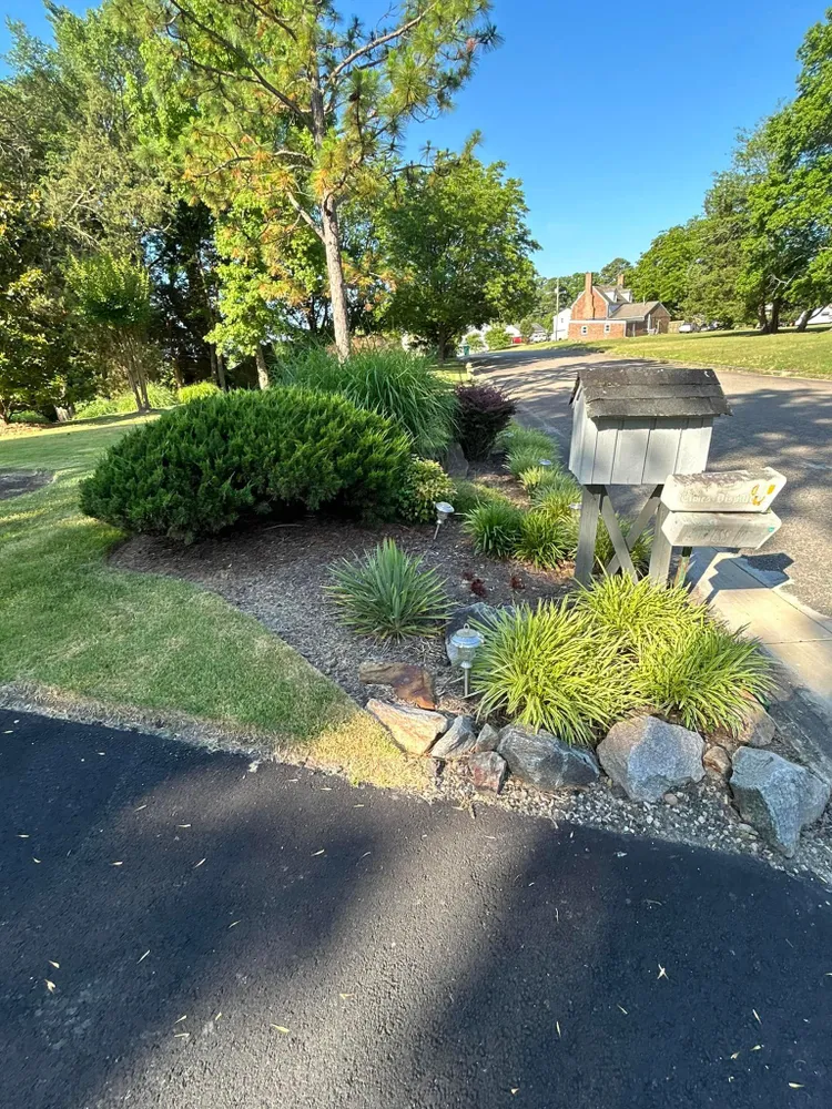 A driveway with a lot of bushes and rocks on the side of it