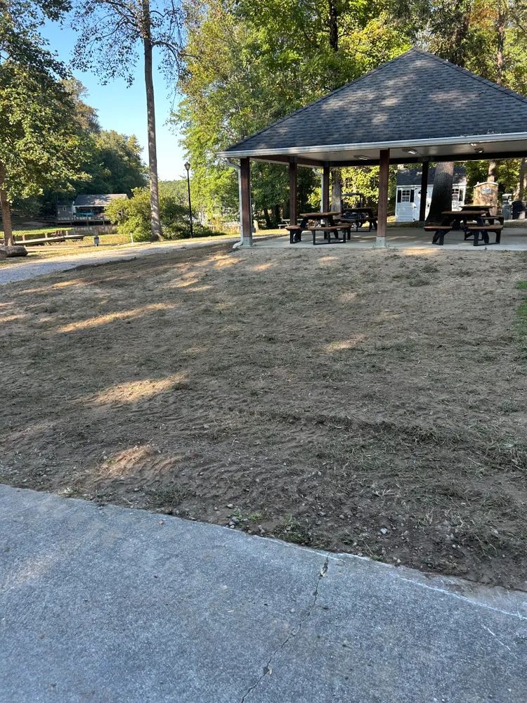 A picnic area with a gazebo and picnic tables in a park.