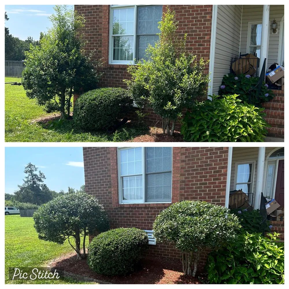 A before and after picture of a brick house with bushes in front of it.