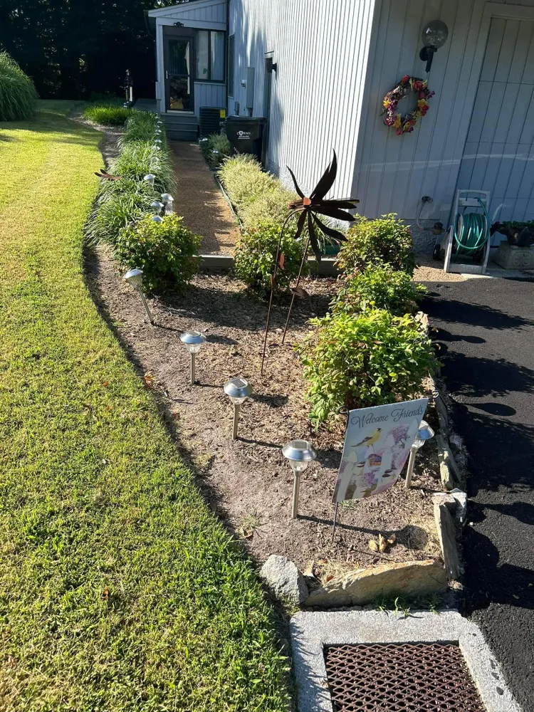 A lawn with a lot of plants and a windmill in front of a house.