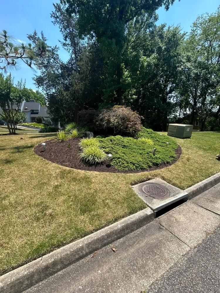 A lush green lawn with a manhole cover in the middle of it.