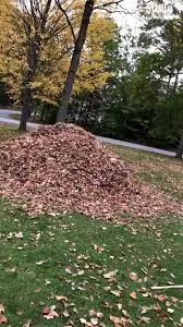 A pile of leaves is sitting on the grass in a park.