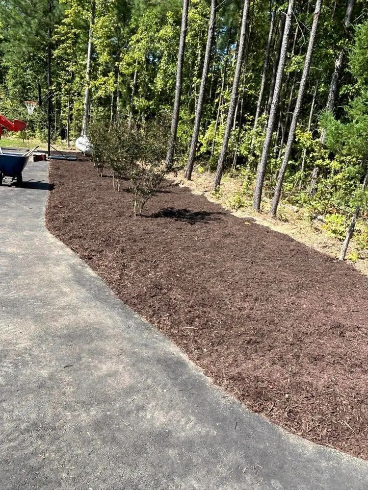 A person is pushing a wheelbarrow down a driveway filled with mulch.
