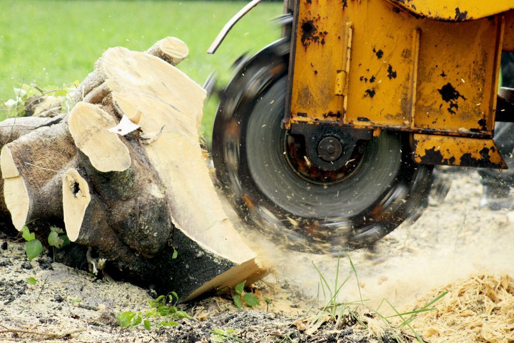 A yellow tractor is cutting a tree stump in the ground.