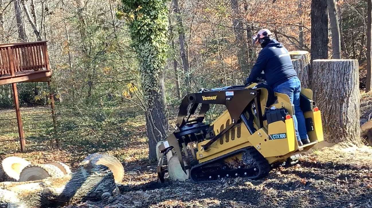 Small stump being ground and removed