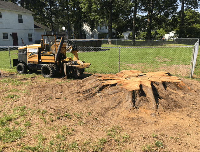 Debris stacked and ready for hauling