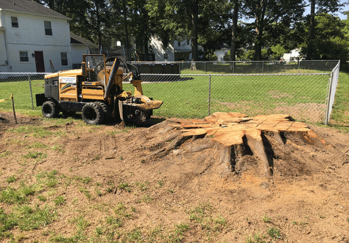 Debris stacked and ready for hauling