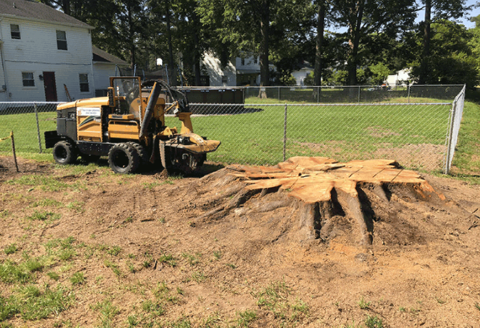 Debris stacked and ready for hauling