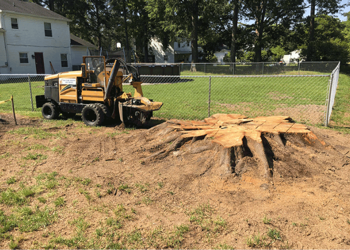 Debris stacked and ready for hauling