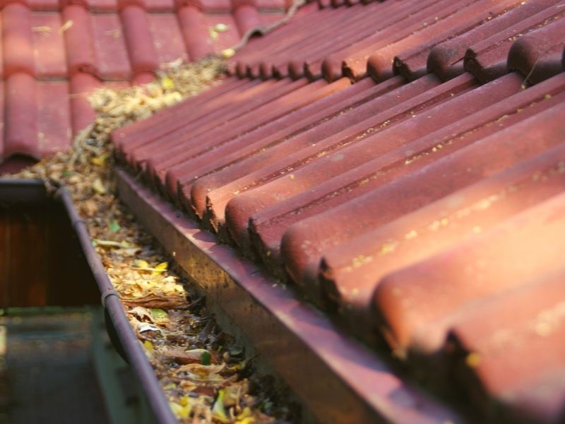 Why Gutter Cleaning Joondalup Is Important