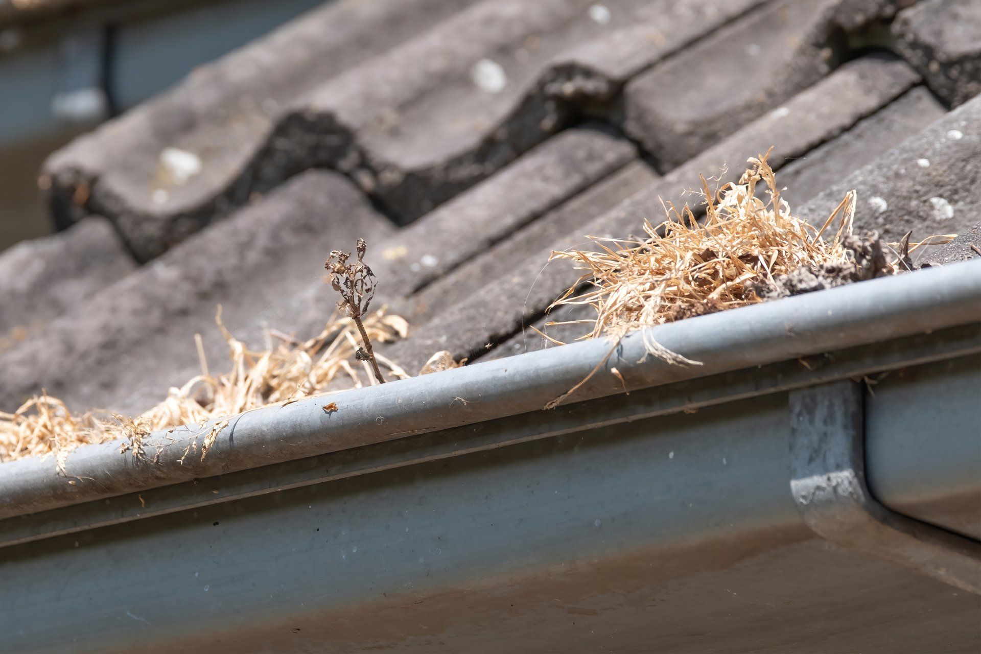 How much does it cost fto have your gutters cleaned?