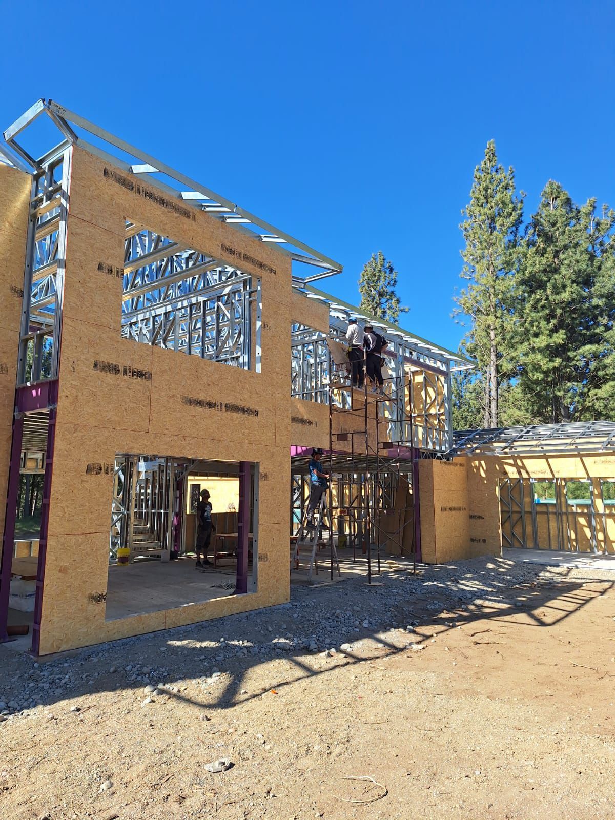 En un día soleado, un sendero atraviesa un parque verde entre modernos edificios residenciales 