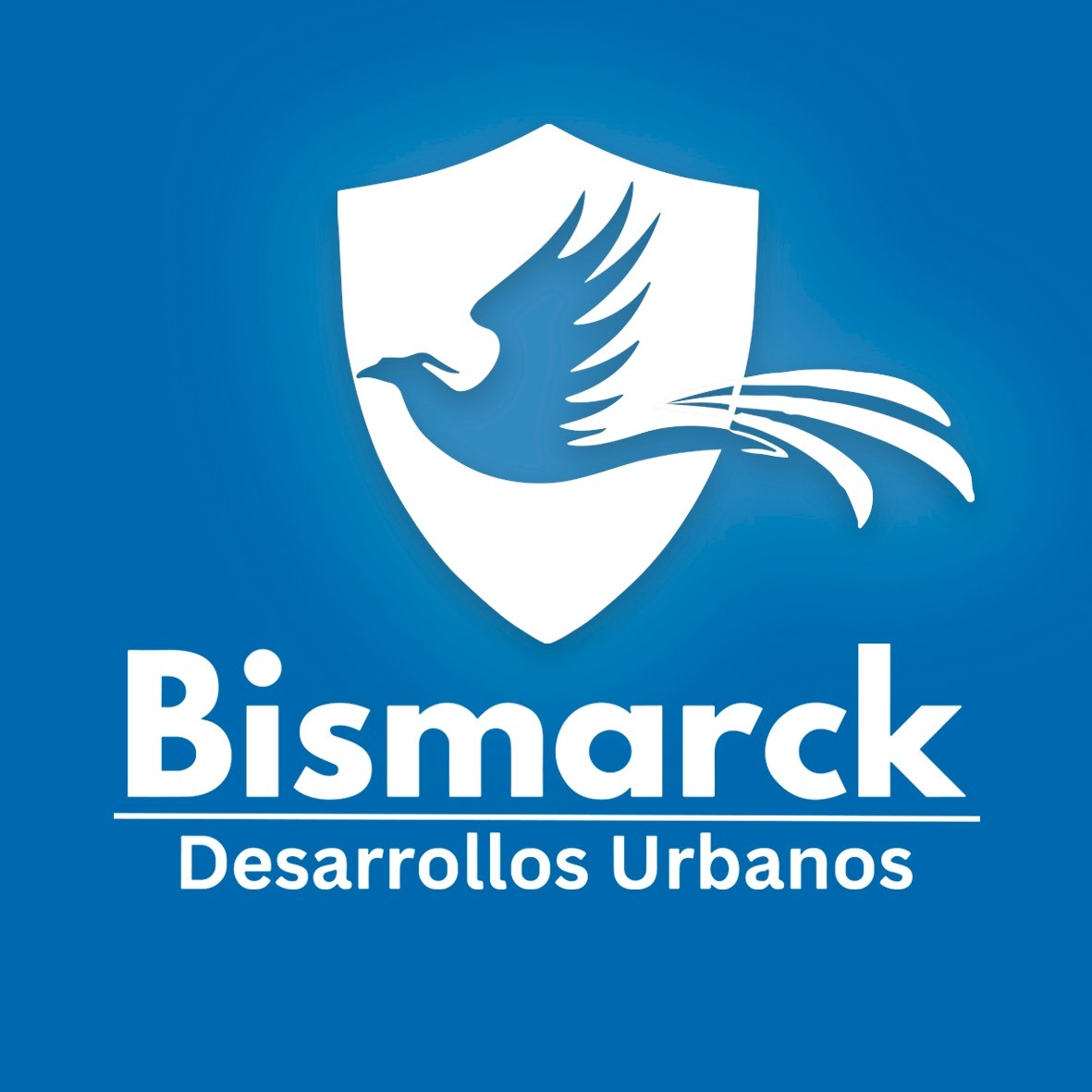 Logotipo de Bismarck Desarrollos Urbanos