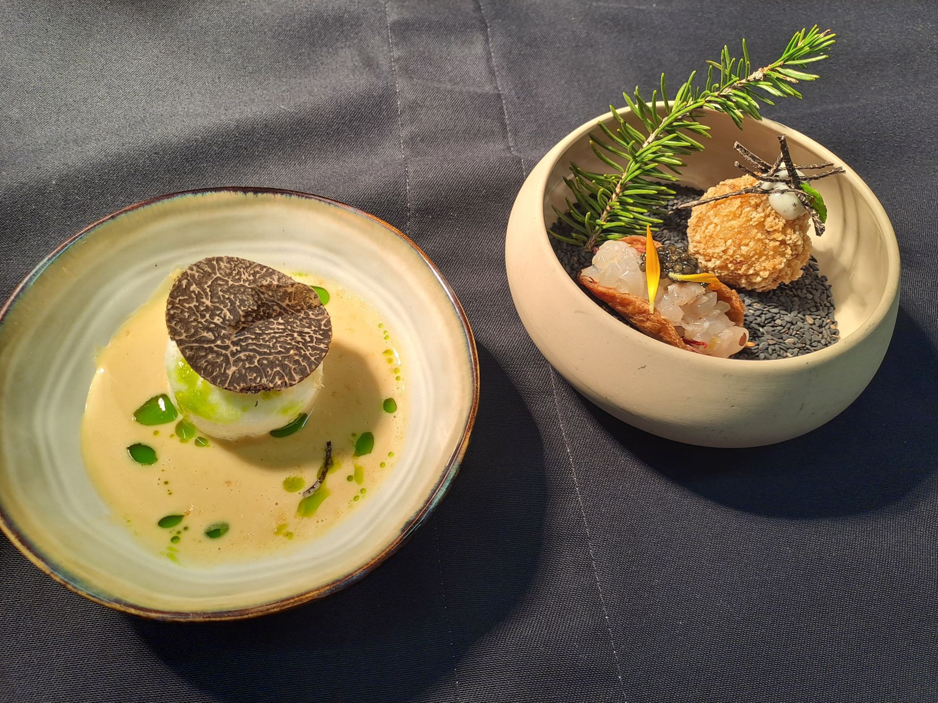 Two gourmet dishes on a dark blue tablecloth: a creamy soup with truffle and a bowl of appetizers.