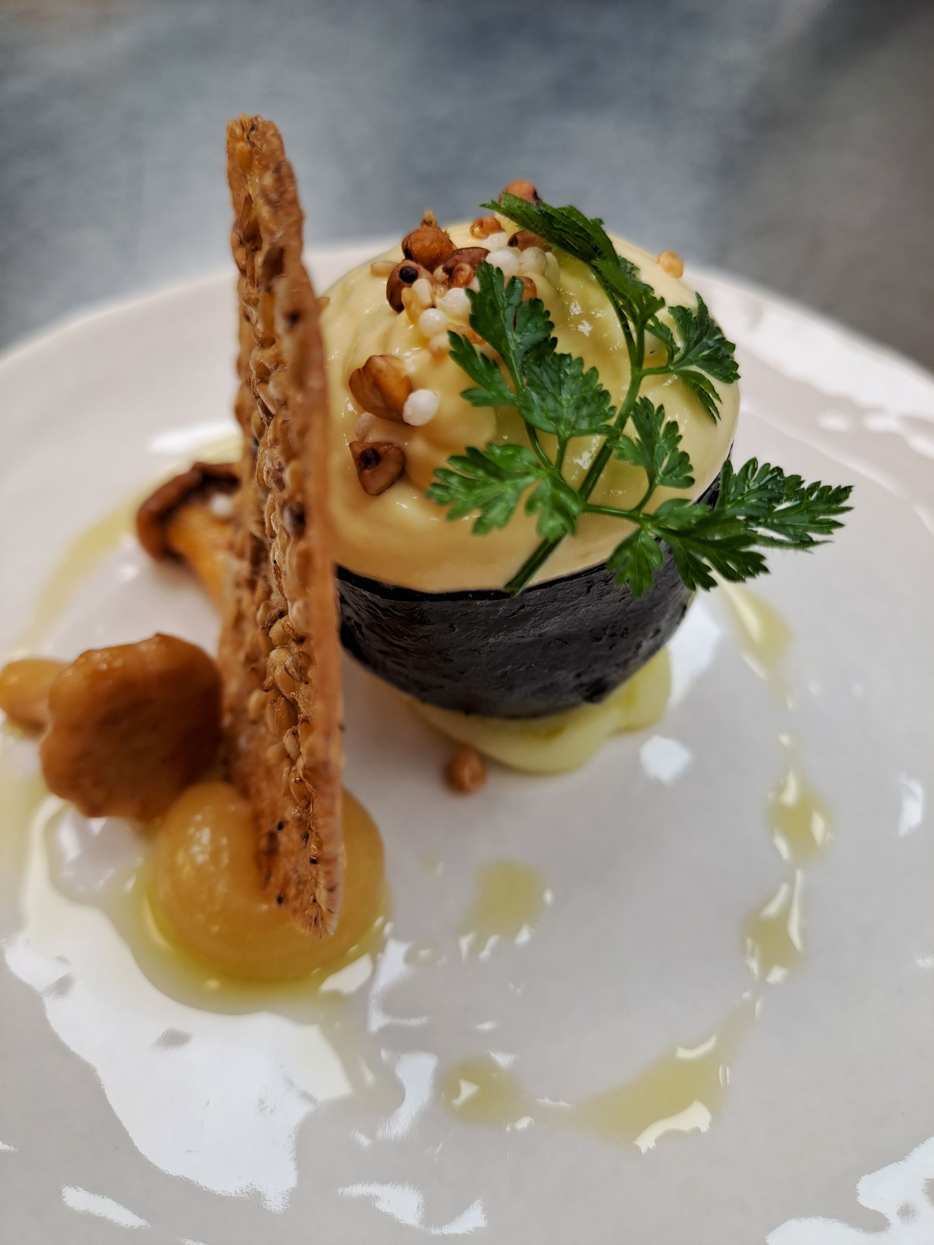 Close-up of a gourmet dish: dark orb topped with yellow cream, herbs, and nuts, served with a cracker and mushrooms, drizzled with sauce.